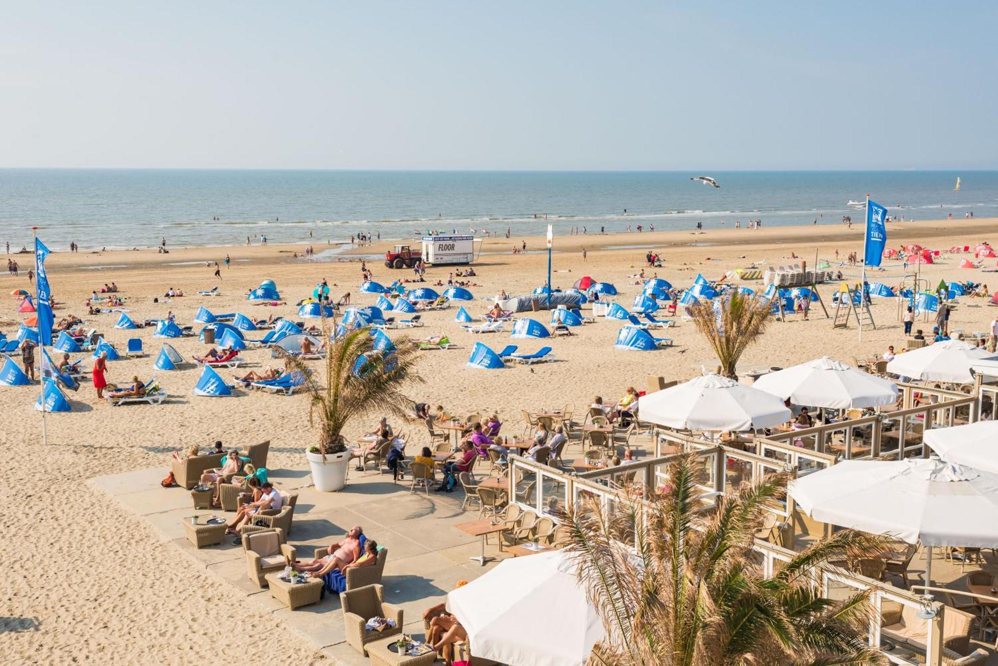Albatros Aan Zee - Apartment ザントフォールト エクステリア 写真